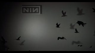 Best of Trent Reznor Ambient and Instrumental music. 4.5hrs !