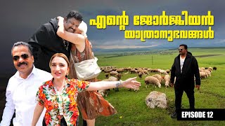 ജോർജിയൻ യാത്രയിൽ എനിക്കുണ്ടായ അനുഭവങ്ങൾ | My Georgian Travel Experience | Harees Ameerali