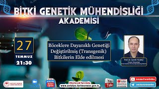 Bitki Genetik Mühendisliği Akademisi-4 Böceklere Dayanıklı Genetiği Değiştirilmiş (Transgenik) Bitki