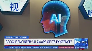 Can robots have feelings?  |  NewsNation Prime
