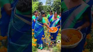 ദേ ചേച്ചിന്മാർ വീണ്ടും പൂകൃഷിയിൽ നൂറുമേനി | Street Food Kerala