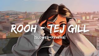 Rooh - Tej Gill Song | Slowed And Reverb Lofi Mix