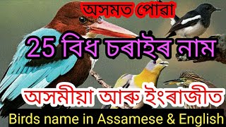 অসমত পোৱা 25 বিধ চৰাইৰ নাম অসমীয়া আৰু ইংৰাজীত | Birds name in Assamese \u0026 English | Assamese kids...