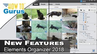 How You Can Use the Photoshop Elements Organizer 2018 New Features and Tools