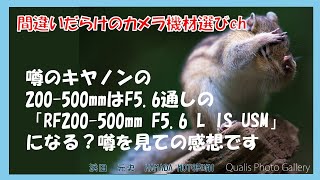 間違いだらけのカメラ機材選びch 「噂のキヤノンの200-500mmはF5.6通しの「RF200-500mm F5.6 L IS USM」になる？噂を見ての感想です」