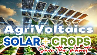 Agrivoltaics Explained: How Farming with Solar Panels Can Save the Planet