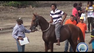 EQUESTRIAN ASSOCIATION MULLS FUTURE OF CREOLE HORSE RACE