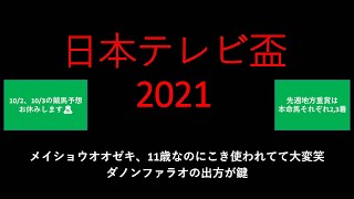 【競馬予想】2021 9/29 日本テレビ盃【地方競馬】