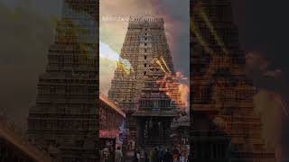 எதுவும் நிரந்தரம் இல்லை #aruleeshwara #lordsivan #sivan#shivanstatus #bhaktistatus #tiruvannamalai