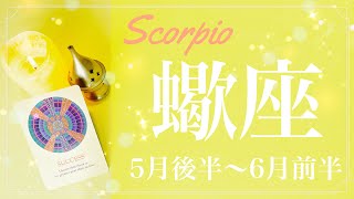 さそり座♏️2022年5月後半〜6月前半🌝成就とゴール、遂に完了、歩んできた道と時間に愛しさを感じるとき