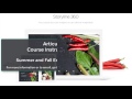 articulate storyline summer course