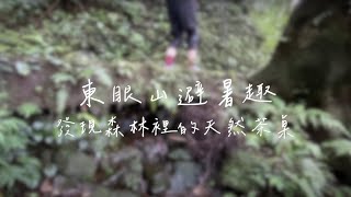 東眼山國家森林遊樂區避暑趣｜意外發現山徑裡渾然天成的茶桌｜山徑裡的泡茶秘境｜爬山泡茶（20240630）