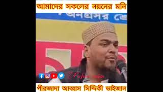 আমাদের সকলের নয়নের মনি পীরজাদা আব্বাস সিদ্দিকী