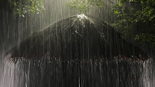 Sleep Instantly in Palm Tent Roof with Dense Heavy Rain & Amazing Thunder in Foggy Forest at Night
