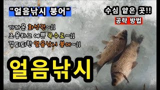 [화성]_ 얼음낚시 붕어 / 조용한 쪽수로 / 수심 얕은 포인트 공략 방법