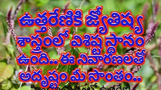 ఉత్తరేణికి జ్యోతిష్య శాస్త్రంలో విశిష్ట స్థానం ఉంది ఈనివారణలతో అదృష్టం మీసొంతం#jothishyam#mytvlocal