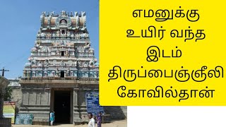 எமபயம் நீக்கும் திருப்பைஞ்ஞீலி கோயில் கல்வாழை பரிகார தோஷம் செய்யும் கோயில்#Trichy#Temple yamantemple