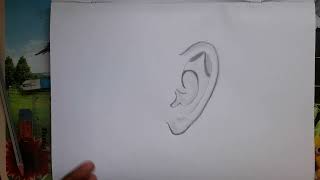 How to draw a realistic ear step by step for beginners