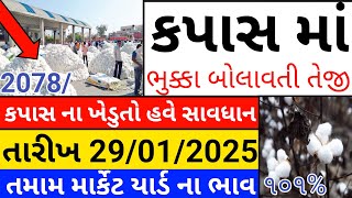 Kapas na bhav | 29-01-2025 | કપાસના ભાવ:2025 | Information about Cotton Crop Price | Commodity Trend