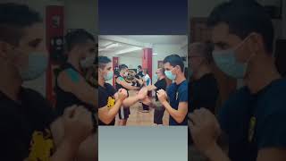 Wing Chun - Pak Sao drill