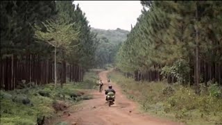 Togo, PROGRAMME DE SAUVEGARDE DE L'ENVIRONNEMENT