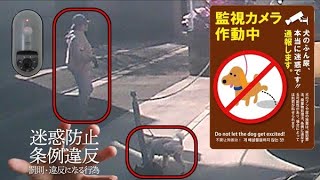 【防犯カメラ映像】他人の駐車場内で犬に尿をさせる飼い主の証拠映像