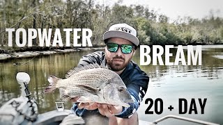 TOPWATER bream all day long