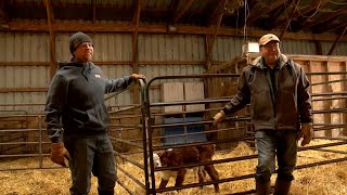 AgweekTV: Young Farmer Takes Over Cattle Operation