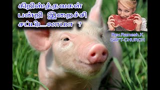 கிறிஸ்தவர்கள் பன்றி இறைச்சி சாப்பிடலாமா ? பதில் இங்கே