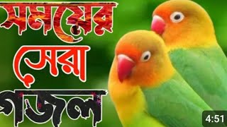 New Bangla Gojol 2025 || মাকে নিয়ে অসাধারণ একটা   মন ছুঁয়ে যাওয়া গজল || Vairal Gojol || Bangla Gojol