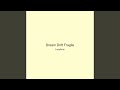 Dream Drift Fragile