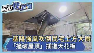 快新聞／基隆強風吹倒民宅上方大樹　「撞破屋頂」插進天花板－民視新聞