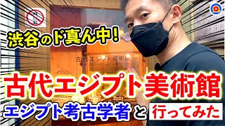 【お宝続々！】渋谷にある古代エジプト美術館が凄すぎた！