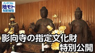 影向寺の指定文化財特別公開【地モトNEWS】2024/11/8放送