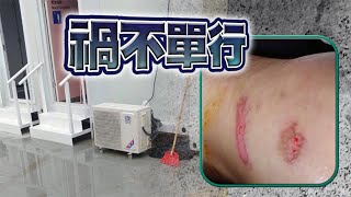 【on.cc東網】東方日報A1：戰勝新冠　敗給廢官　坐錯疫監跌爆膝