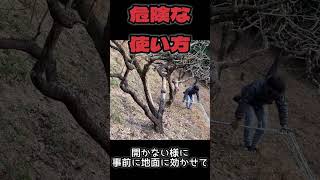 これは危ない！間違った三脚脚立の使用法で 実際に起きた事故寸前の危険作業（柿の剪定作業時の事）