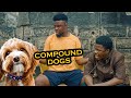 Compound Dog Part 2 | Caretakers 223