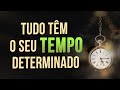 TUDO TEM O SEU TEMPO DETERMINADO - APRENDA A TER PACIÊNCIA