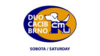 DUO CACIB BRNO 2022