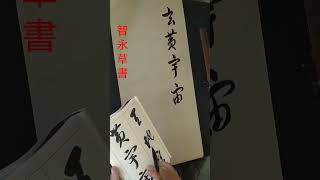 #智永草書 #書道 #千字文