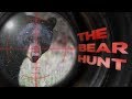 The bear hunt: Why are bears killed on timber farms?