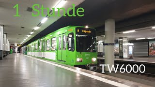 1 Stunde TW6000