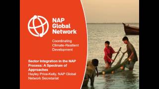 Webinar | Sector Integration in the NAP Process