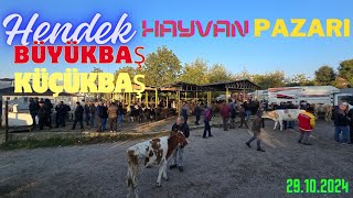 Sakarya hendek hayvan pazarı 29.10.2024 hendek pazarı tarihinin en yoğun gününü yaşıyor