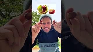 America_ we call THIS something else_ ๐คฃ๐บ๐ธ |Josh From England|Josh fans Club|Full Video|HD