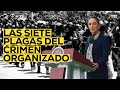 T6:E13 VIOLENCIA, INSEGURIDAD y CRIMEN organizado, las plagas que debe ENFRENTAR Claudia Sheinbaum