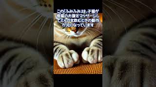 「猫は一日に何度も『ふみふみ』する！？その理由とは？　　#猫 #動物 #豆知識 #トリビア #ねこ #ペット #癒し #アニマルセラピー #猫の気持ち #猫のいる暮らし