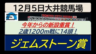 【競馬予想】ジェムストーン賞！～２０２４年１２月５日 大井競馬場 ：１２－１０