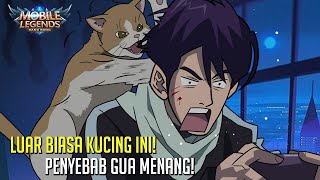 PABLO SI KUCING BERTUAH! KEHADIRANNYA MENAMBAH KEKUATAN GUA! TIADA YG MAMPU LARI! SEMUA GUA BANTAI!