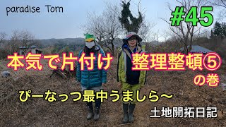 【土地開拓日記】#45 本気で片付け　整理整頓⑤の巻　ぴーなっつ最中うましら〜　とても美味しかった　山林から畑への道のり